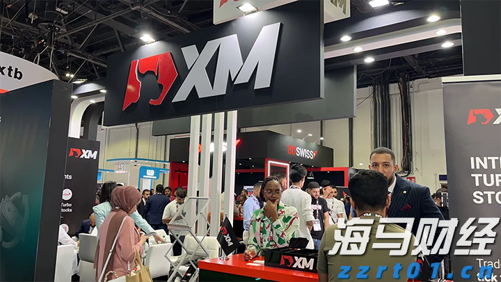 市六届人大常委会第三十一次会议召开