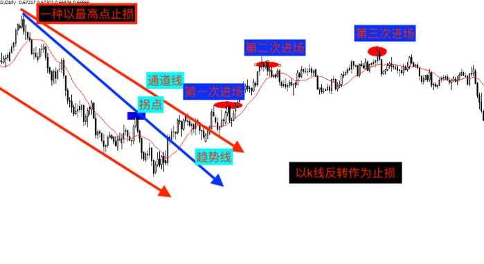 大圩镇：黄皮满枝头致富“黄金果 ”